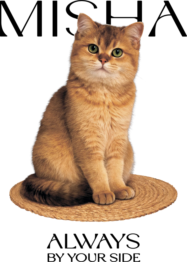 Футболка Monoclo Custom Photo | Твій Улюбленець