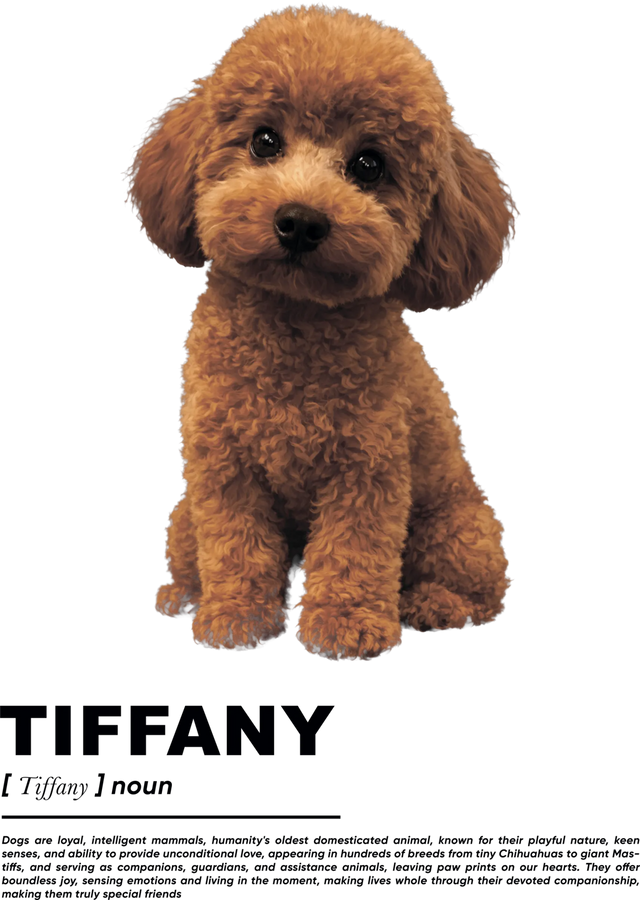 Футболка Monoclo Custom Photo | Твій Улюбленець